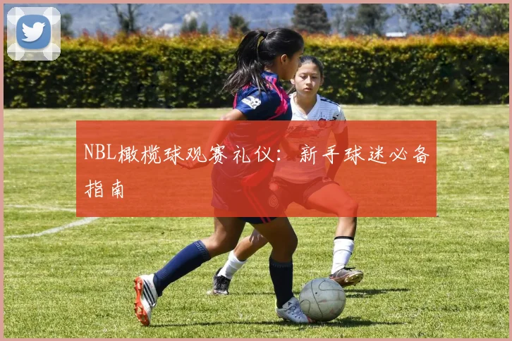 NBL橄榄球观赛礼仪：新手球迷必备指南
