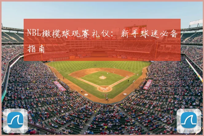 NBL橄榄球观赛礼仪:新手球迷必备指南