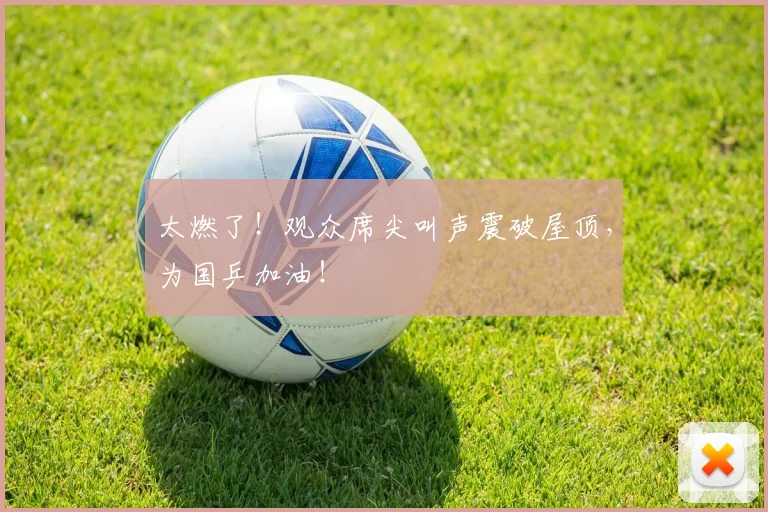 太燃了！观众席尖叫声震破屋顶，为国乒加油！